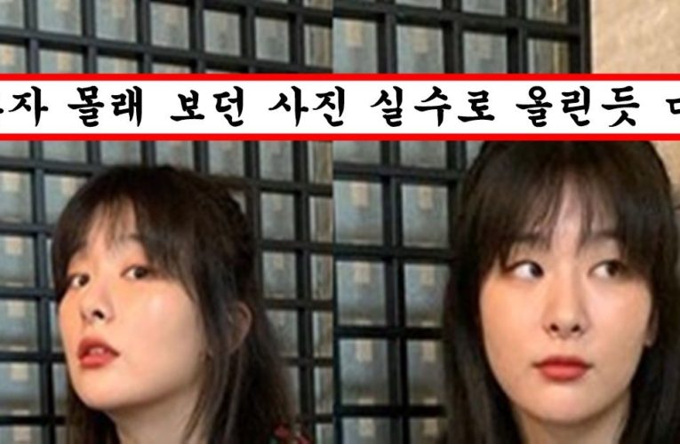 레드벨벳 슬기가 인스타에 실수로 올렸다가 1초만에 삭제한 민망한 사진