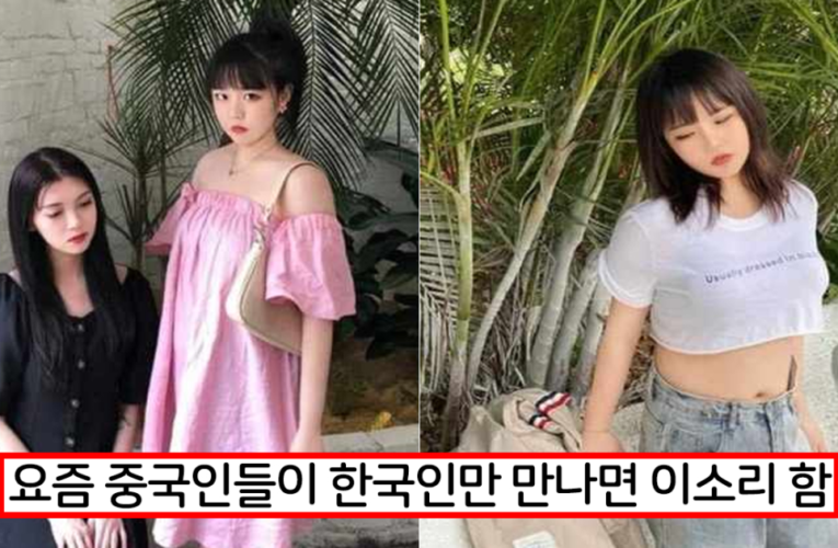 한국인들 솔직히 X 맞잖아 최근 중국인들 사이에서 돌고 있다는 진짜 이상한 소문