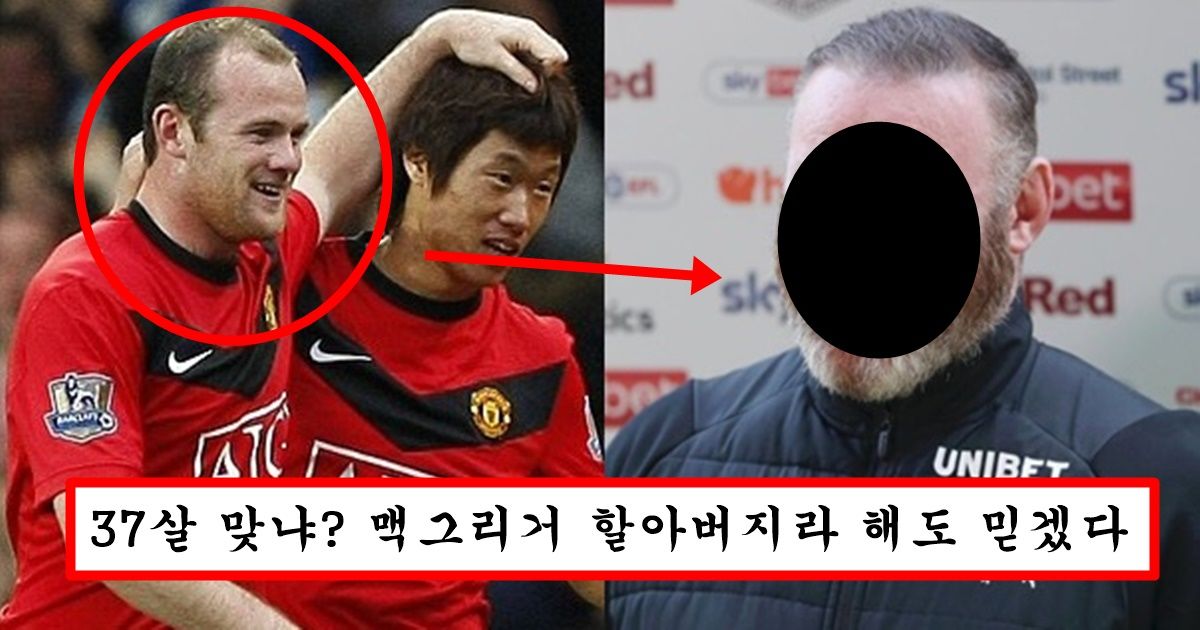 선수생활 끝나고 운동안했는지 얼굴,몸이 맥그리거가 되어버린 루니 충격 근황