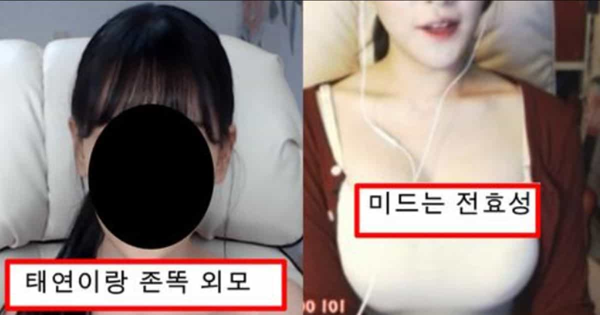 얼굴은 태연이랑 너무 똑같이 생겼는데 미드는 최소 d라서 개떡상 중인 아프리카 여bj