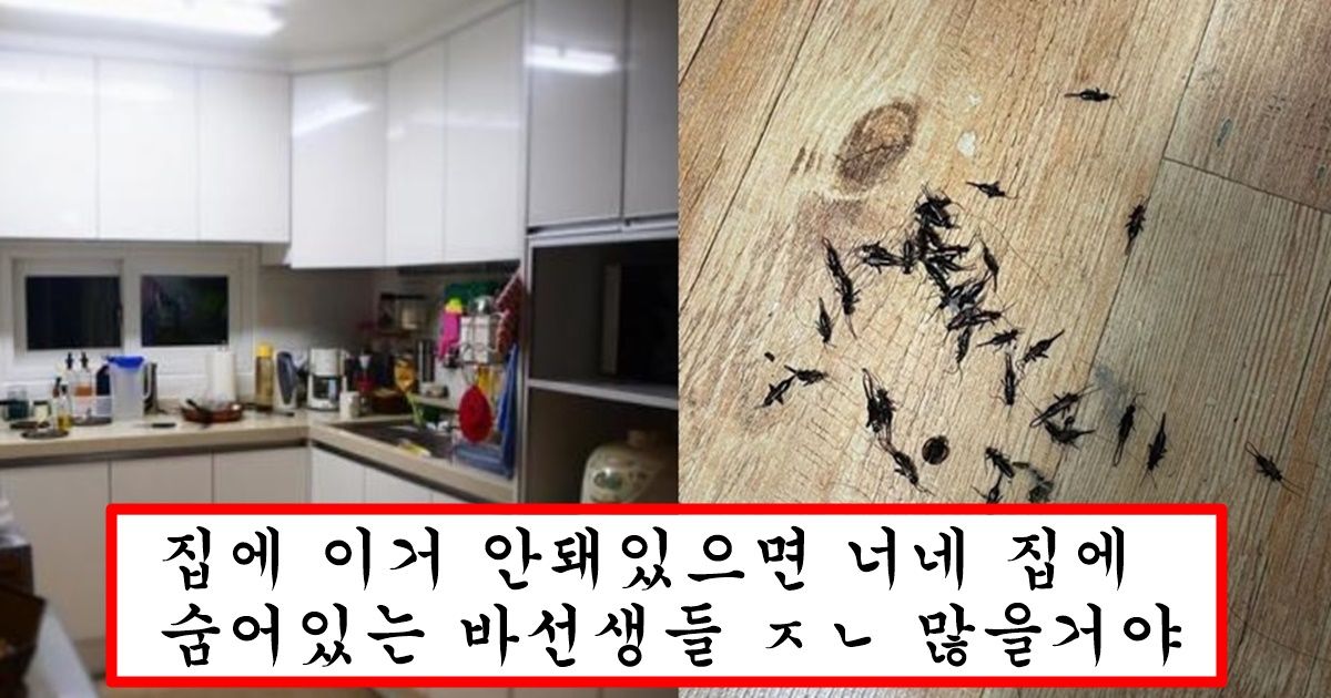 대부분 사람들이 모른다는 벌레가 집 안으로 들어오는 경로