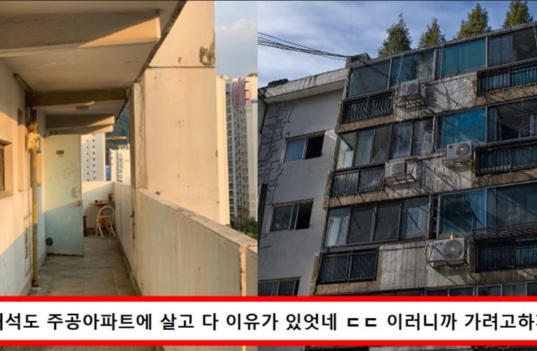 요즘 돈많은 사람들이 고급아파트 안가고 주공아파트로 가려고하는 이유