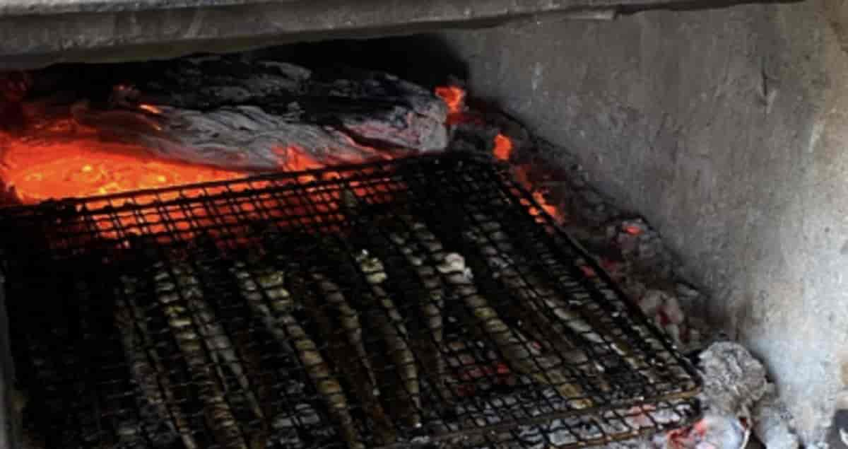 요즘 너무 잘 잡혀서 마리당 200원꼴에 존맛이라는 생선