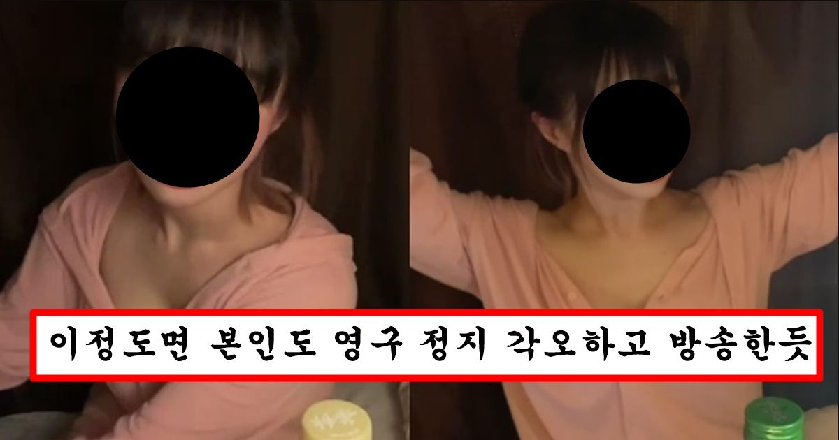 트위치에서 제일 잘 나가던 여캠이 영구정지 당했을 당시 방송