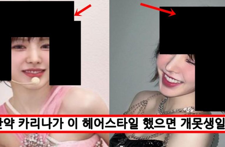 헤어 디자이너가 안티라서 일부러 망쳐놨는데 얼굴 때메 다 커버쳐서 떡상중인 윈터