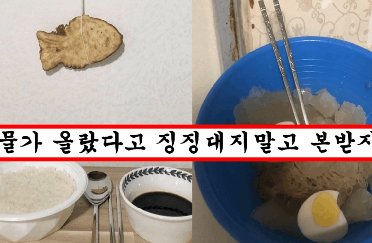 요즘 흙수저들 사이에서 유행한다는 500원으로 하루 식비 해결하는 꿀팁