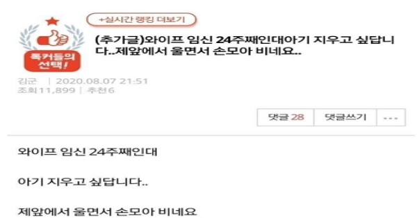 임신 24주차에 애 낳기 싫다는 와이프