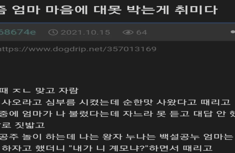 엄마 가슴에 대못 박는게 취미인 모범생개붕이