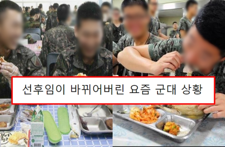 선후임이 바뀌어버린 요즘 군대 상황