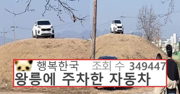 무덤 인줄 모르고 왕릉에 노빠꾸로 그냥 주차해버린 차주