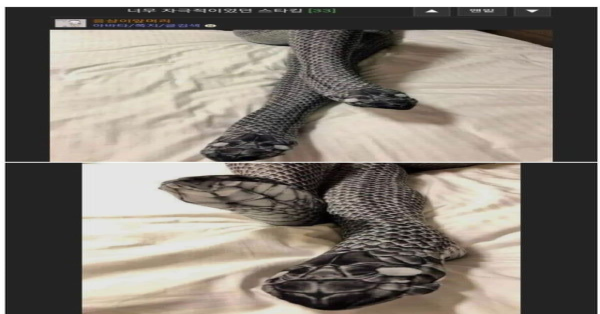 남친을 위해 스타킹을 준비했는데