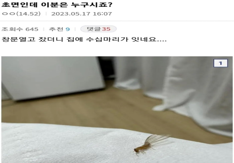 현재 뒤집어진 디시 곤충갤러리 근황