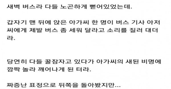 버스시간 30분 지연시킨 아가씨