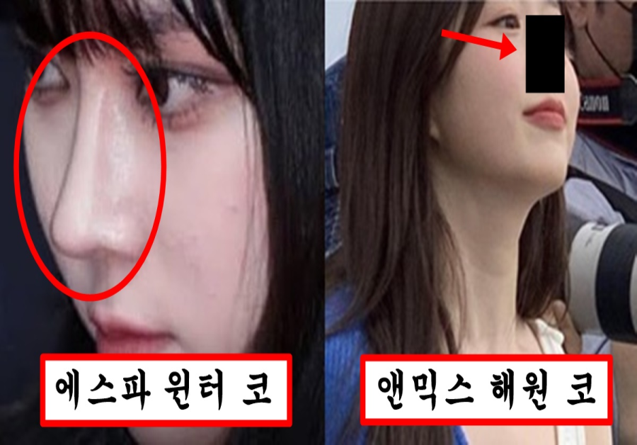 코 성형 너무 심하게 해서 윈터 코보다 더 보기 싫다는 엔믹스 맴버