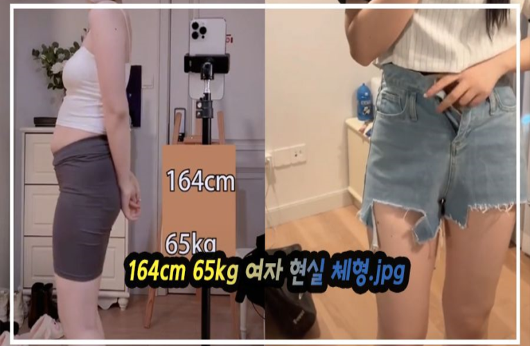 진짜 딱 이런 몸매 많을껄 사실 많다는 164cm 65kg 여자 현실 체형jpg