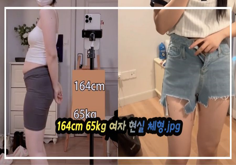 진짜 딱 이런 몸매 많을껄 사실 많다는 164cm 65kg 여자 현실 체형jpg