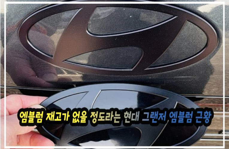 문제 차량들이 너무 많아 엠블럼 재고가 없을 정도라는 현대 그랜저 엠블럼 근황