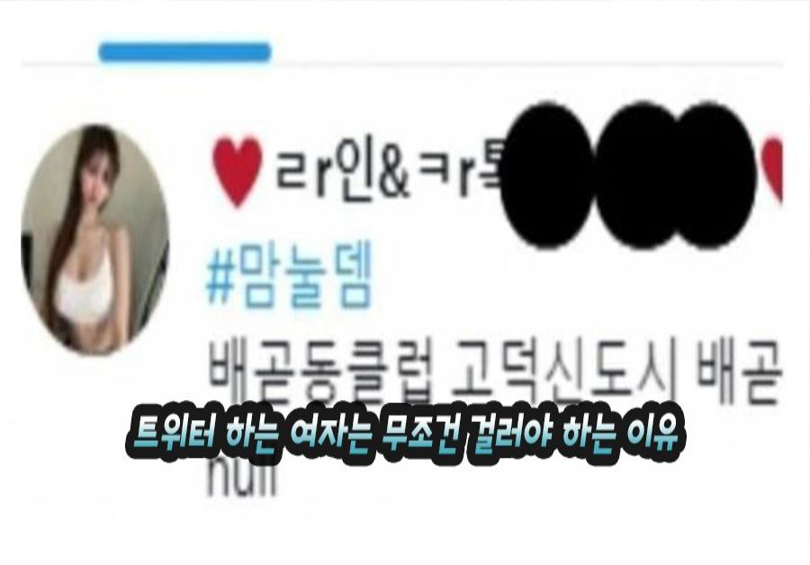 트위터 하는 여자는 무조건 걸러야 하는 이유