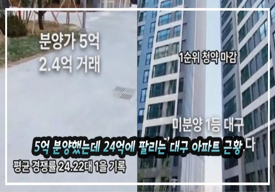 5억 분양했는데 24억에 팔리는 대구 아파트 근황