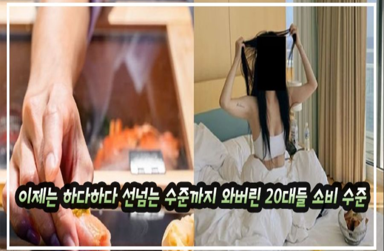 이제는 하다하다 선넘는 수준까지 와버린 20대들 소비 수준