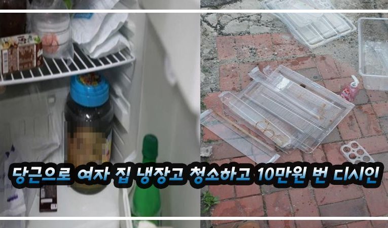 당근으로 여자 집 냉장고 청소하고 10만원 번 디시인