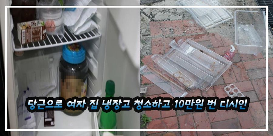 당근으로 여자 집 냉장고 청소하고 10만원 번 디시인