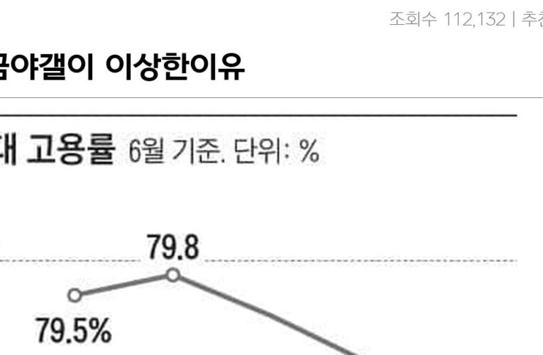 지금야갤이 이상한이유