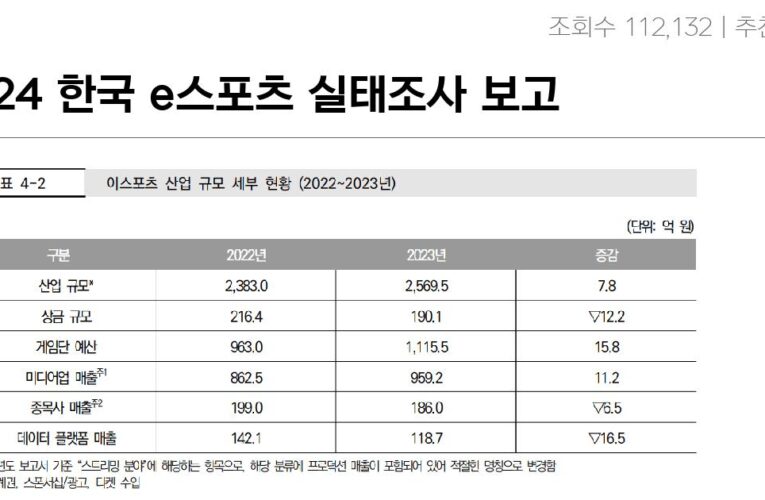 2024 한국 e스포츠 실태조사 보고