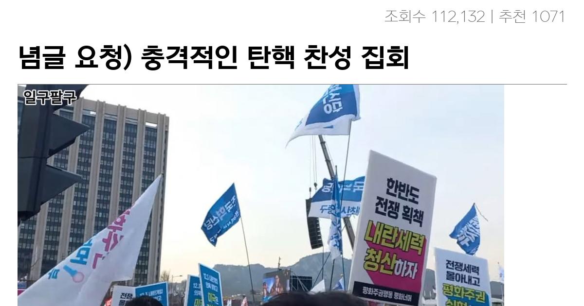 념글 요청) 충격적인 탄핵 찬성 집회 근황