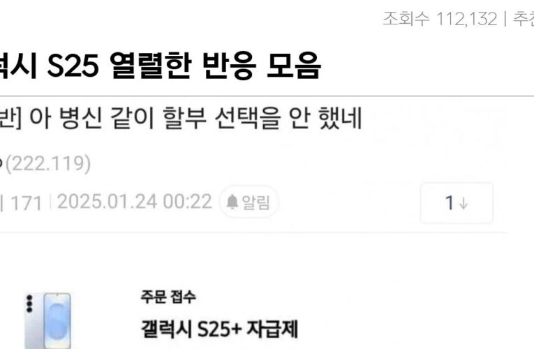 갤럭시 S25 열렬한 반응 모음